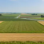 Polderlandschap Hoeksche Waard